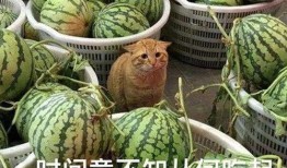 52吃瓜爆料免费吃瓜视频,免费畅享热门吃瓜视频盛宴